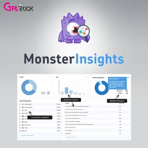 MonsterInsights Pro - Google Analytics Plugin for WP